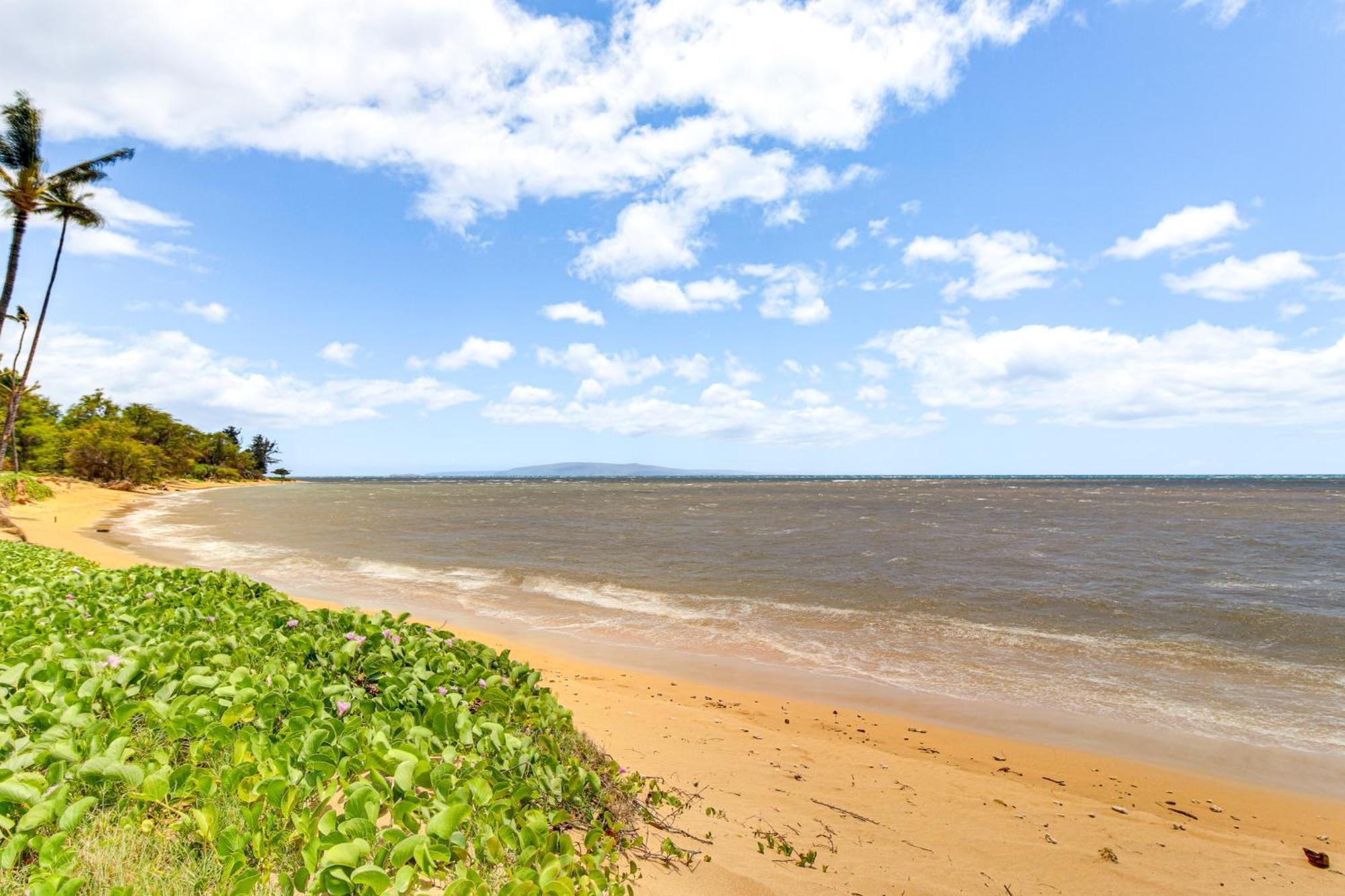 Gorgeous Oceanfront Condo With Spectacular Views! Kihei Exterior foto
